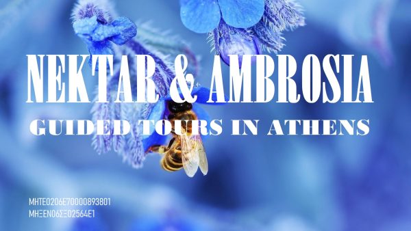 guided tours in athens, visites guidees en français, visite guidate in italiano, tour di atenevisita guidata acropoli, visite guidee acropole, acropolis visite privee, guide touristique athenes, guida turistica atene, guida ufficiale atene,